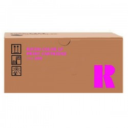 NRG  (TYPE 260) Original Toner magenta (888448)