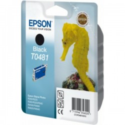 Epson  (T0481) Original Ink cartridge black (C13T04814010)