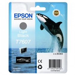 Epson  (T7607) Original Ink cartridge gray (C13T76074010)
