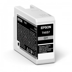 Epson  (T46S7) Original Ink cartridge gray (C13T46S700)