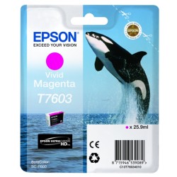 Epson  (T7603) Original Ink cartridge magenta (C13T76034N10)