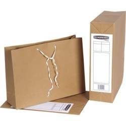 Bankers Box R-Kive Basic Storage Bag Files Foolscap Pack of 25