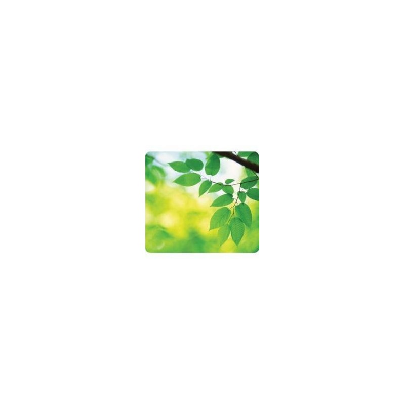 Fellowes 59038 Recycled Mouse Pad Leaves 6 pack