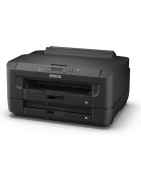 Epson WorkForce WF-7110 DTW