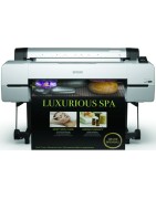Epson SureColor SC-P 10000