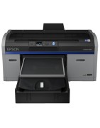 Epson SureColor SC-F 2100 (4C)