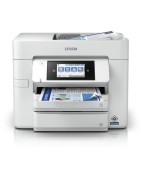 Epson WorkForce Pro WF-C 4810 DTWF